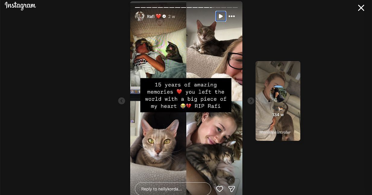 Still taken from Korda's Instagram Story_Image Source: Instagram/@nellykorda